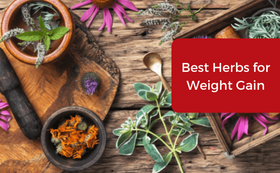 Best Herbs for Weight Gain in 2022